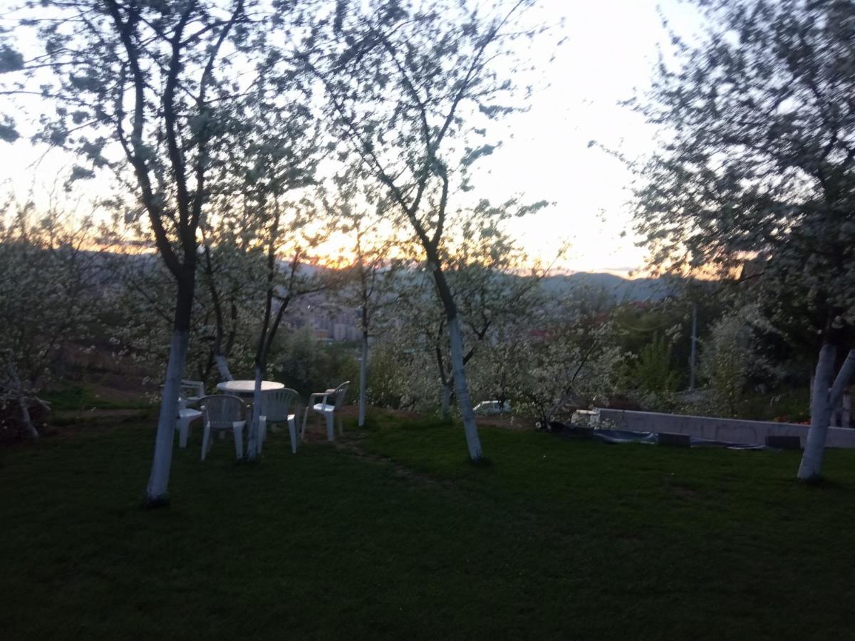 Campsite Lana Sarajevo